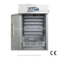 Pigeon Egg Incubator Small for Sale